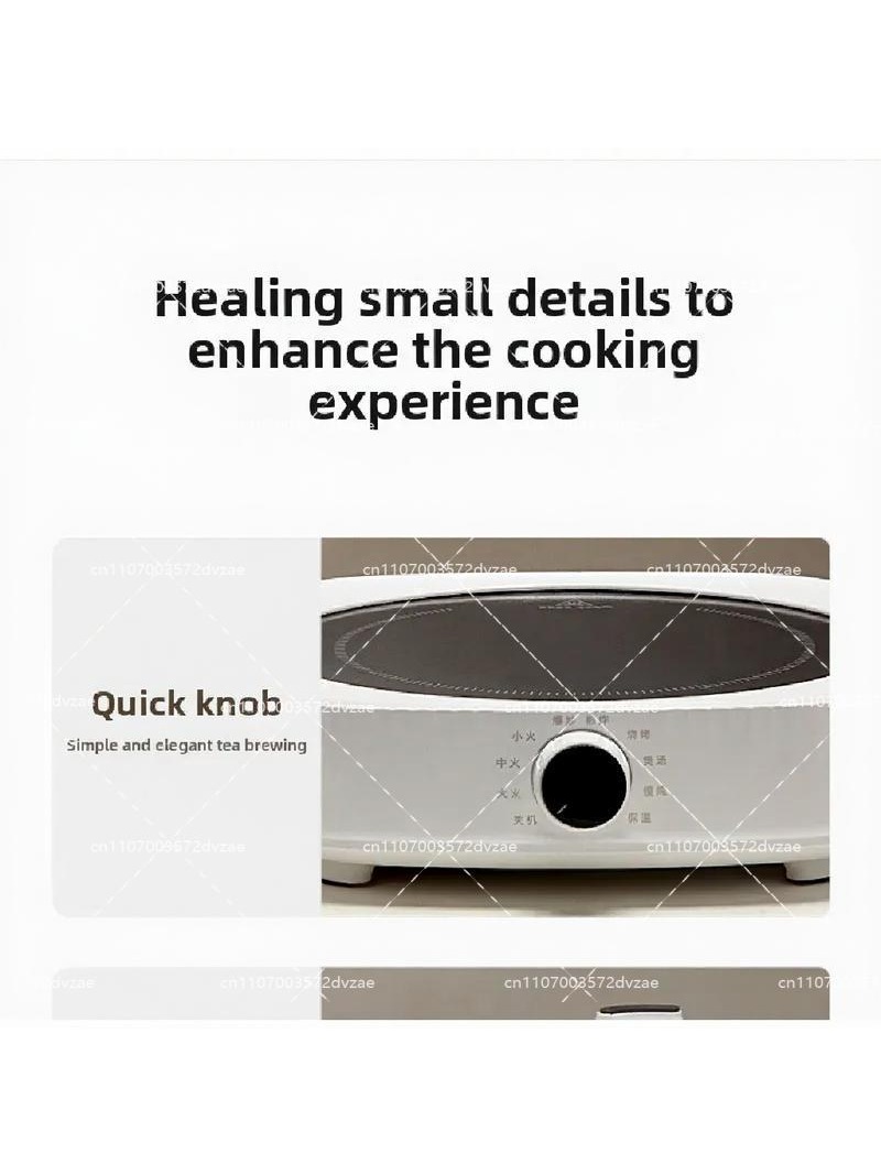 Elektrische keramische kookpla - Induction Cooktop Portable recensie en prijs