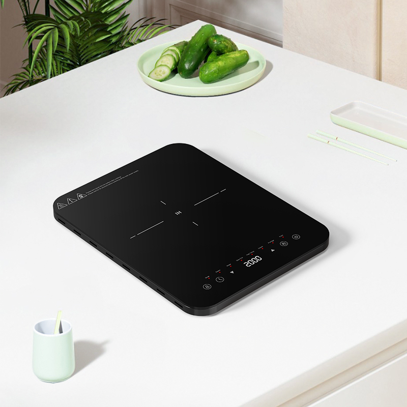 Dubbele inductiekookzones met  - Induction Cooktop Portable recensie en prijs