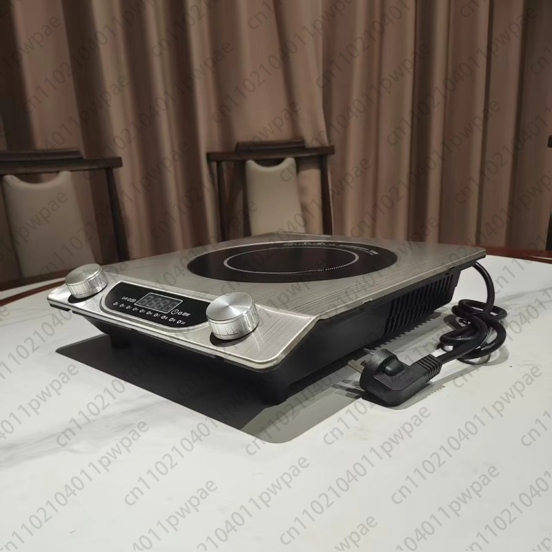 Inductiekookplaat Moderne ener - Induction Cooktop Portable recensie en prijs